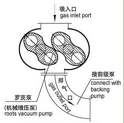 ZJ系列羅茨真空泵的原理圖